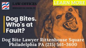 Dog Bite Attorney Rittenhouse Square Philadelphia PA