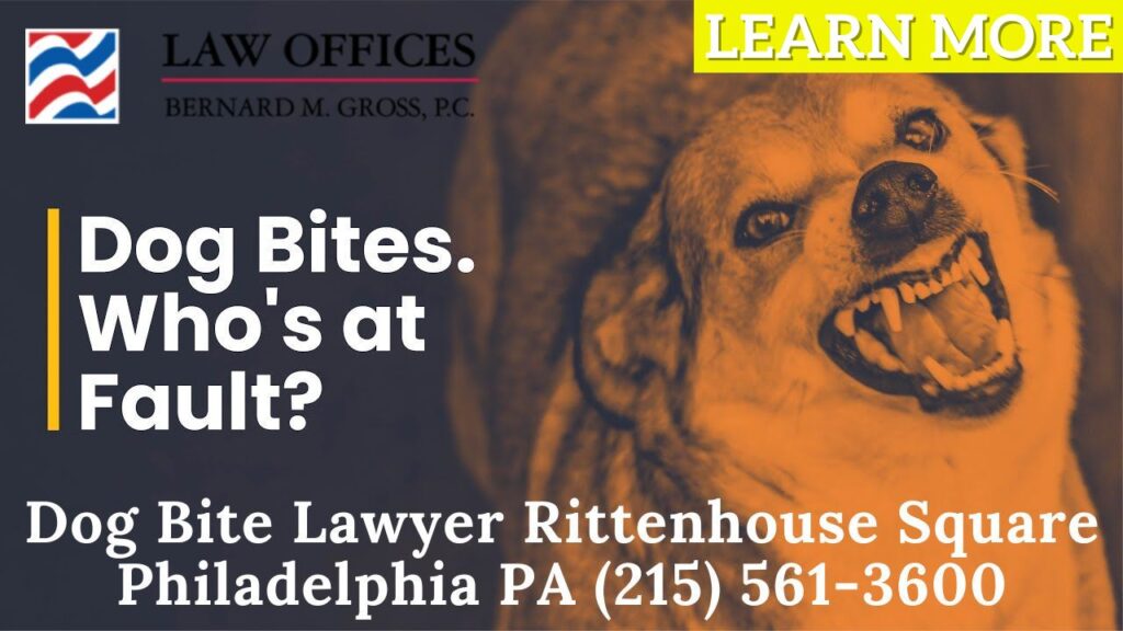 Dog Bite Attorney Rittenhouse Square Philadelphia PA