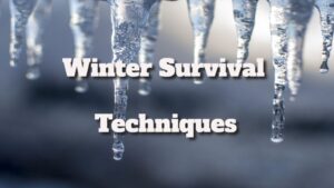 Winter Survival Techniques