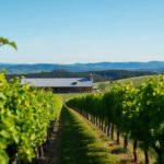 Wineries in Devonport: Essential Stops for Wine Lovers