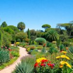 Botanical Gardens: Discover San Miguel de Allende’s Hidden Gem