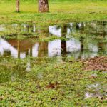 Stormwater Drain Solutions: Causes in Wollongong Explained