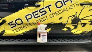 Termite Reticulation Costs and Maintenance in Sydney Explained