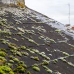 Slate Roof Cleaning Tips for Sydney Homeowners