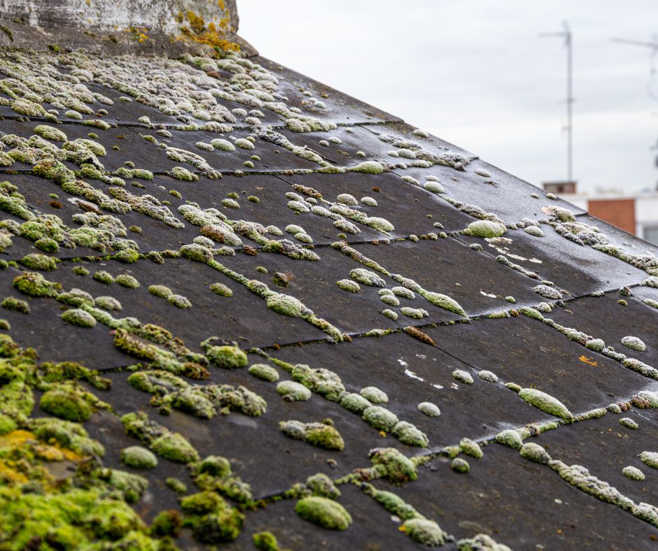 Slate Roof Cleaning Tips for Sydney Homeowners